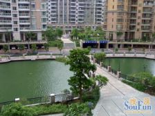 丽日玫瑰四区12座,电梯无抵押,产权清晰,交易便捷