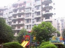 双楠花园 1室1厅 东 东南 南 西南