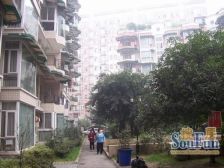 双楠花园 3室2厅 东南 南