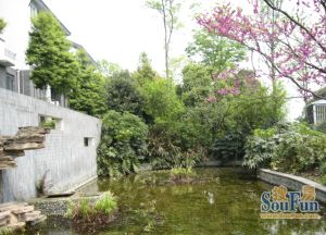 青城神韵一期1室1厅西北