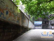 杨家坪 西郊三村三房45万