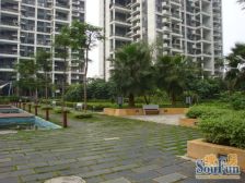 龙城国际 1室1厅 东