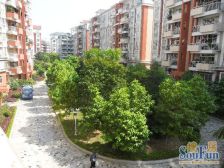 凤南花园五年唯一物业三房两卫出售 向花园