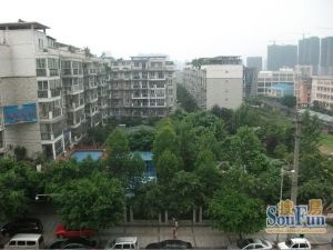 银杏森林4室1厅南