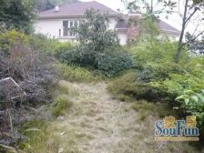 高尔夫大独栋 花园上千平 端头位置 停多辆车