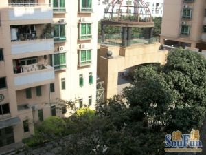 丽新怡苑底层小区翻新有天然气