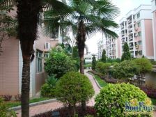 莞城珊洲新苑3房2厅 采光通风 业主诚心出售