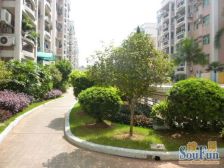 珊洲新苑 小区电梯 3房两厅两卫