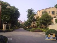 茶园新区 庆隆高尔夫玺馆一房70万