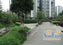 天府江南C区 2室1厅 西南