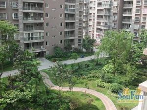 驿鑫乡卿城3室2厅南