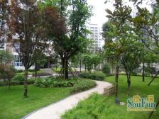 紫苑学府 2室1厅 南 北