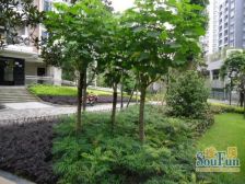 一碗水 紫苑学府二房55万