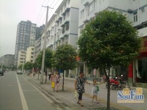 岷阳小区2室1厅东南