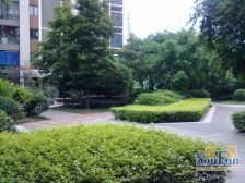 六街区中间楼层、住家精装、业主诚心出售