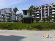 视野宽阔,诚意出售,顶楼大复式