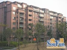 三林雅致洋房 环境优美 板式南北通透 格局方正 随时看房品鉴