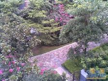 保利花园大三房,中高楼层望花园,视野好,安静舒适。