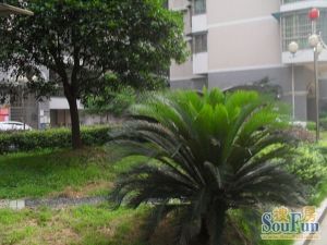 雨花亭宏轩花苑精装房两房周正出售