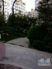 油建苑3室1厅南北