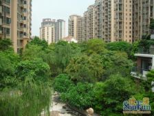 中海别墅,有天有地有花园,百变毛坯随意装修