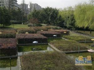 锋尚阳光2室1厅西
