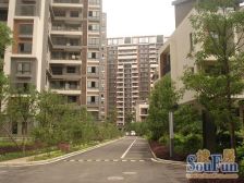 中天金海岸叠拼别墅、三层使用、精装修、满二年