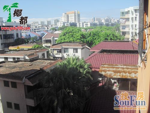 左邻右舍