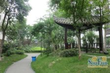 翰香府 3室1厅 东