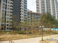 凤城五路地铁口 紫薇风尚91平朝南精装两房 实图 可落户 有证过