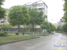 金星绿苑大两房南北通中间楼层看房提前约