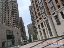 一手动迁、中高层、视野无遮挡、看房很方便