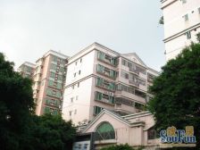 祖庙片区配套完善,近祖庙,东方 楼下就是福升商场