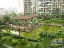 丽水金都 3室2厅 东南