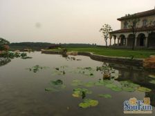 万科松山湖1号 8室4厅 南