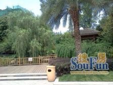 农业园区 皇洋伽蓝艺墅一期五房309万