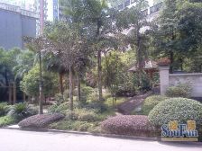 花园600平,装修好了的,只管入住