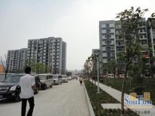 金地自在城旁,视野开阔,户型方正,采光好,总价低