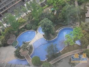 大城际3室1厅西南