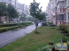 顶楼带阁楼的+阁楼面积大+看房随时方便+业主诚意出售