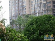 中海紫御东郡 5室3厅 南 北