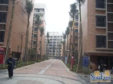 旭景豪庭 户型方正 彩光好 看房方便