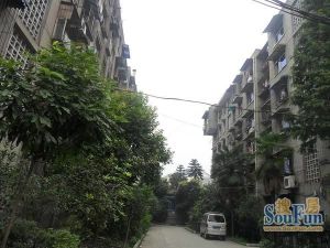桃园小区2室1厅西南