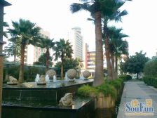 保利壹号公馆 靓楼层 安静 靓装修保养好 家私电器留下