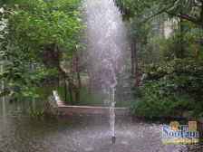 南城都汇汇雅园二期 2室2厅 南