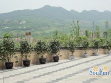 楼层好 采光充足 交通方便 随时可以看房