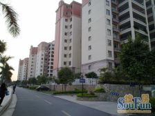 南海碧桂园 4室2厅 东南 南