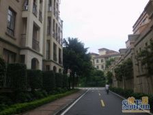 此房是别墅。大花园,房间充足,有带装修,