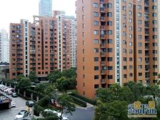 后排推窗见绿 采光不挡 南北通全明户型 小区坠底价