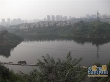 商品房, 交通便利,视野宽广,总价低,地段好